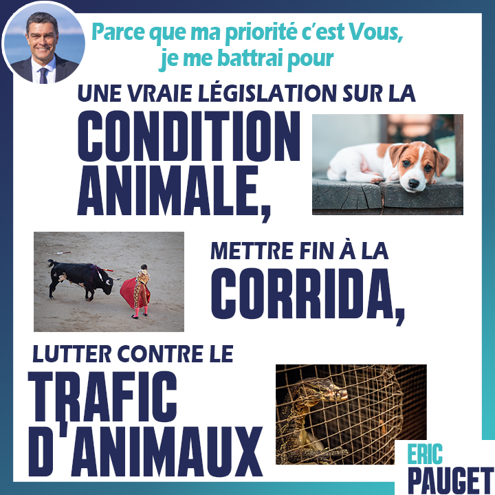 EricPAUGET1's tweet photo. Chaque jour, je vous présente une mesure de mon programme.
#MaProposition n°1⃣
Lutter pour le bien-être #animal.🐶🐱
La législation sur la #ConditionAnimale ne va pas assez loin. Il faut interdire la #corrida et lutter plus efficacement contre le trafic d'animaux.
#Pauget2022 https://t.co/A30c27dkT4
