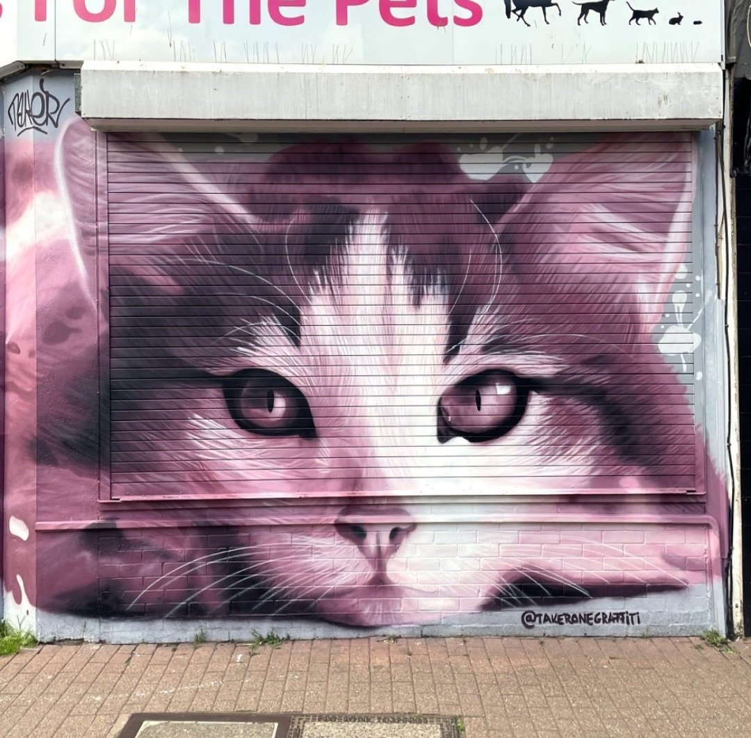 MolinaStreetArt's tweet photo. A very happy Caturday!! π± (by Hungarian TakerOne for Upfest 2022 in Bristol, UK #takerone #upfest #bristolstreetart #caturday #streetart #lamolinastreetart π· via artist https://t.co/RwOBzKLjkL https://t.co/PFQXWNAgnR