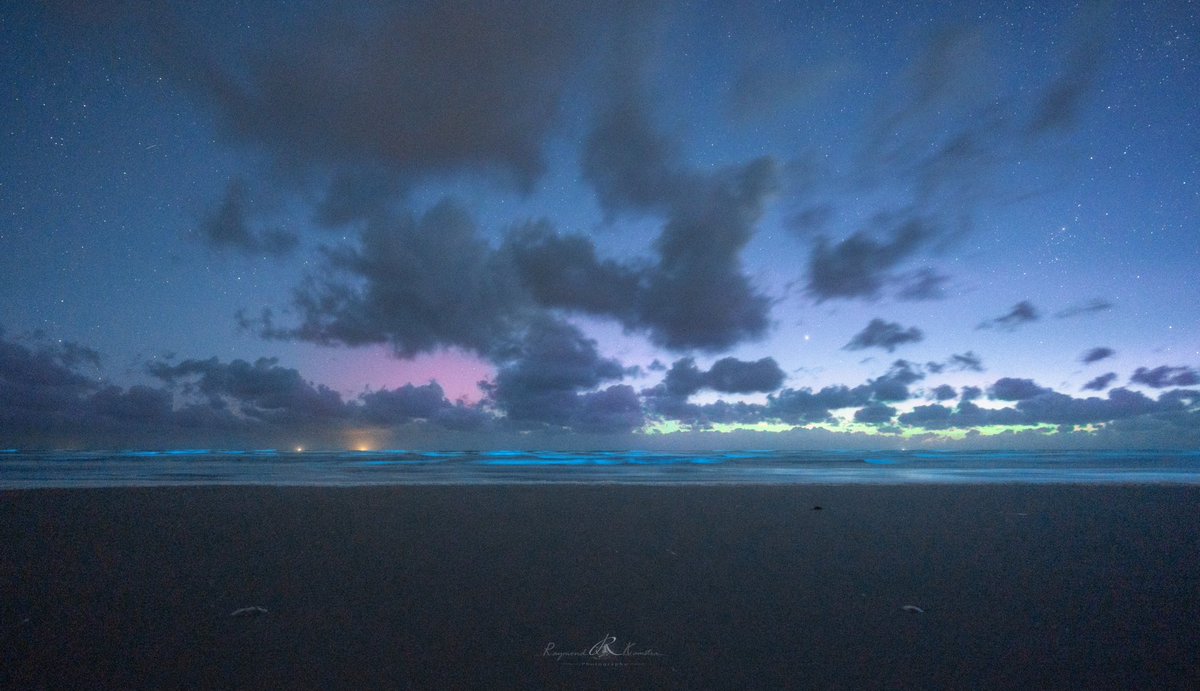 WAUW! Het is hem weer gelukt, <a href="/kamstra_raymond/">Raymond Kamstra</a> zag zeevonk én het noorderlicht boven Terschelling vannacht!🌌🤩 

<a href="/Noorderlichtja1/">Noorderlichtjagers</a> <a href="/helgavanleur/">Helga van Leur ☀</a> #zeevonk #noorderlicht #poollicht