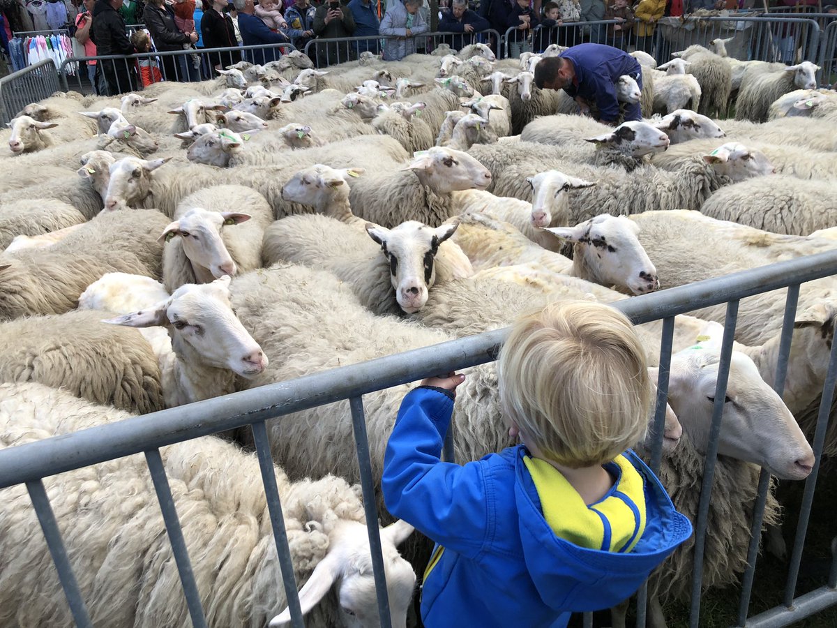 Dorpspartij CDA Heerde tweet media