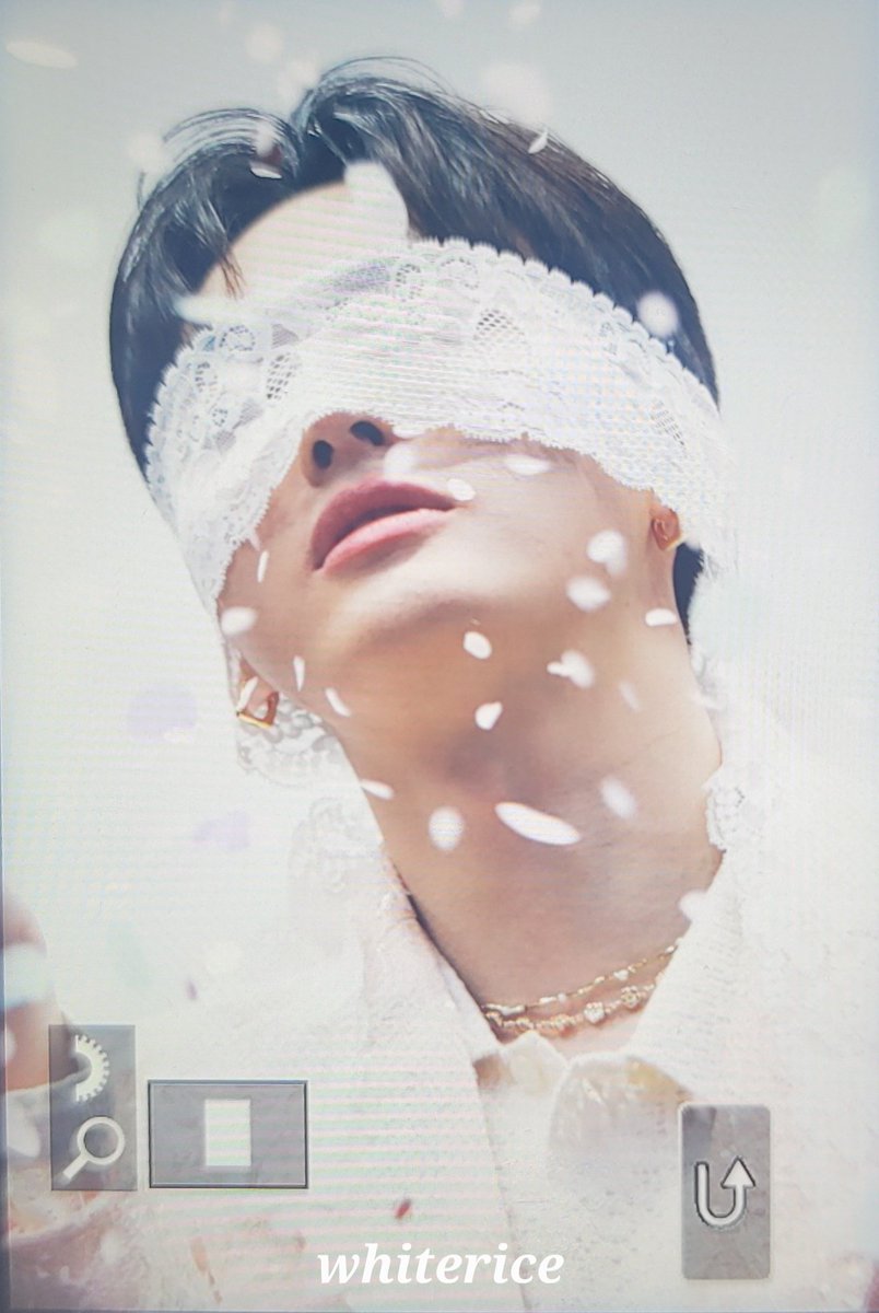 whiterice🍚백미 tweet media