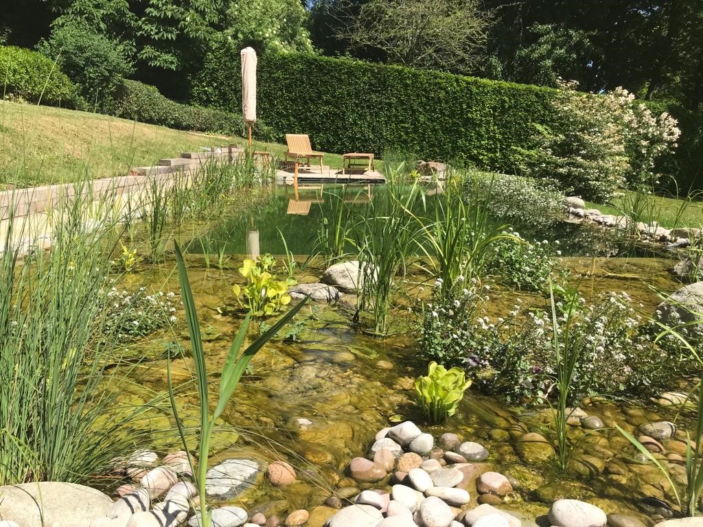 🌿 SwimPond Saturday................

🌿 If its YOUR Dream to have a garden experience like this we can help you make it become a reality. 

🌿 Check out our inspiration guide > direct.me/michaelwheatgr…

#michaelwheatgroup s #naturalswimmingpool #gardenpool #wildlife #swimpond
