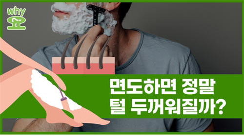 방금 전 트윗에 올라 온 글이다. '털이 두꺼워질까?'라고 말한다. 며칠 전에는 TV에서 '머리카락의 반보다 얇다'라고 하는 것을 보았다.
굵기에는 '굵다'와 '가늘다'가 있고, 두께는 '두껍다'와 '얇다'가 있는데..... 초등학교 저 학년 국어에서 배운 것을 어른이 되어 틀리게 말하다니!!