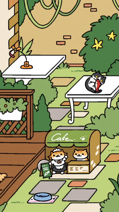 8回目にしてようやく姿見られた😭
かふぇさん〜〜〜〜かわいい〜〜〜 