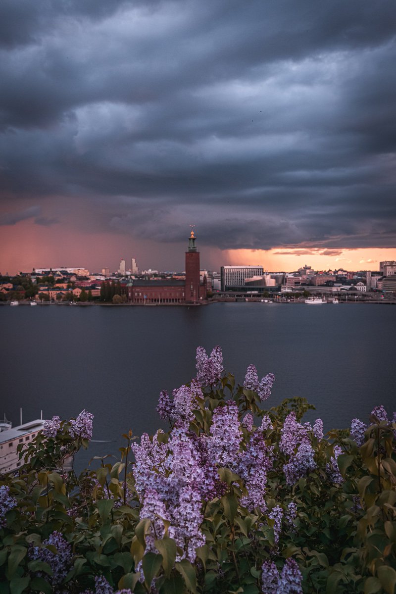 Good afternoon friends!
'Moody lilacs' in today's post. Hope you enjoy!
.
.
<a href="/NikonEurope/">NikonEurope</a> #z9 #zcreator #Stockholm #PhotoOfTheDay