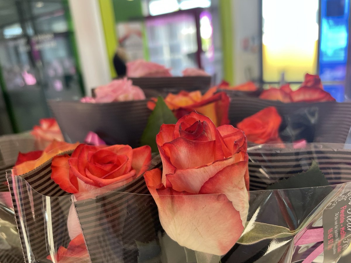 francoiscriton's tweet photo. A l’occasion de la fête des mères le @ccmmacampagne offre une rose à toutes les mamans !!!! https://t.co/f0i41cSDqI