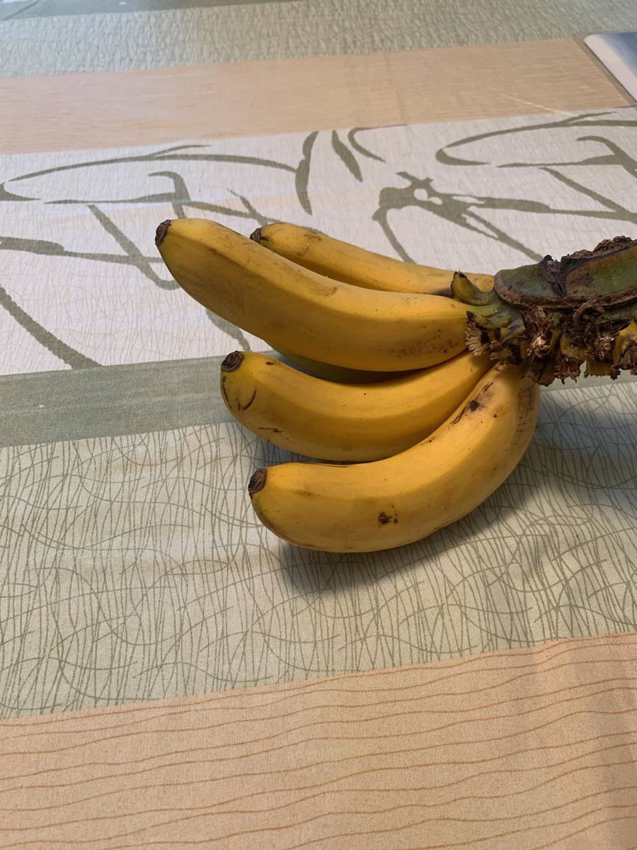 Checking my DMs everyday just in case <a href="/justape_/">Ape. 🍌</a> chooses me #apish 🍌