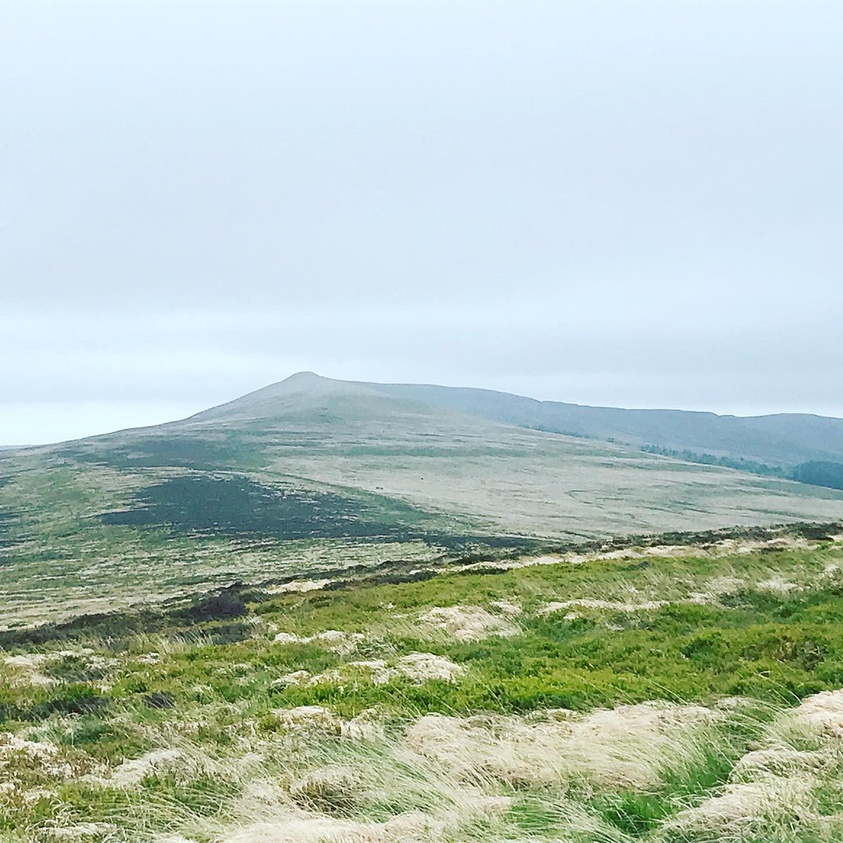 40Summits's tweet photo. Day one in Wales, again exploring the Black Mountains. Today we summited Chwarel y Fan (679m), Rhos Dirion (712m) and Twmpa (690m). Weather was windy, wet, and cloudy. Summit photos to follow! #mountains #hiking #summits  #wales #blackmountains #chwarelyfan #rhosdirion #twmpa https://t.co/UeDdMPOa8R