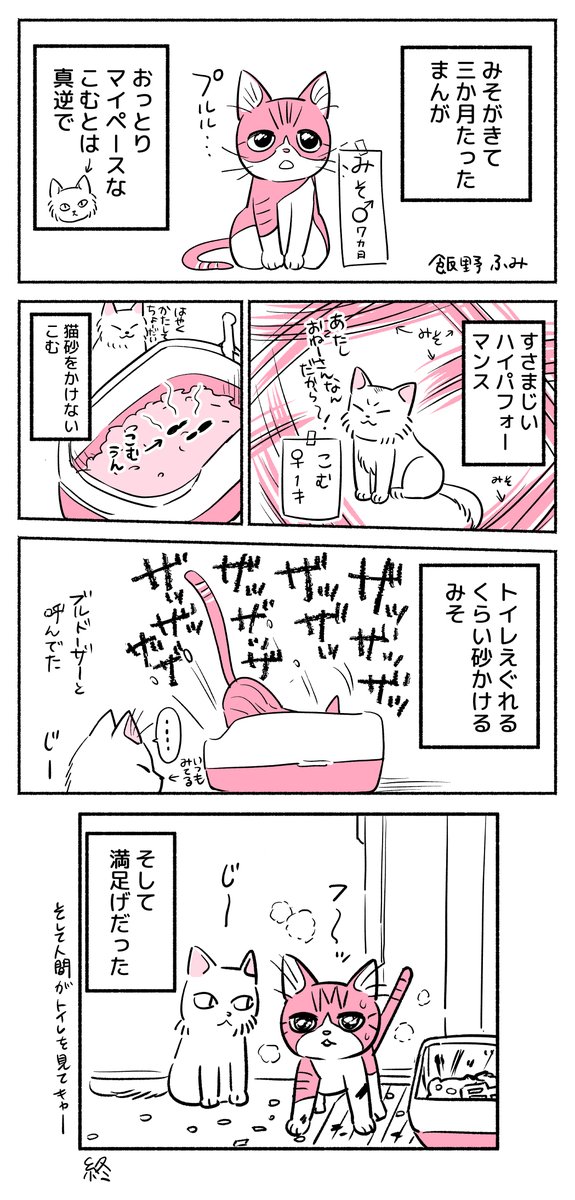 みそが来て三か月たったときの漫画🐈 