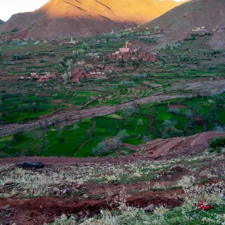 تمازيرت اينو❤️👍💪