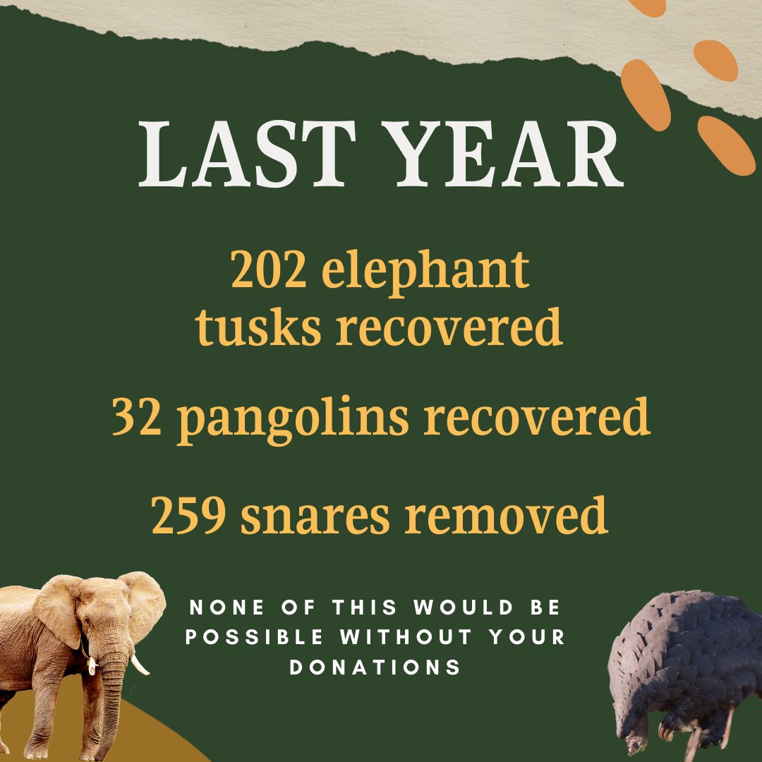 weareakashinga's tweet photo. Helping wildlife and ecosystems recover, one step at a time...

Make a difference, donate: https://t.co/UAiFqcnGwu 

#akashingaranger #Conservation https://t.co/T85Och2Kyg