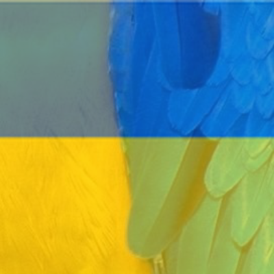FlagifyUkraine's tweet photo. Free Ukraine Avatar @lynxrattle https://t.co/yQix8SnYJ4