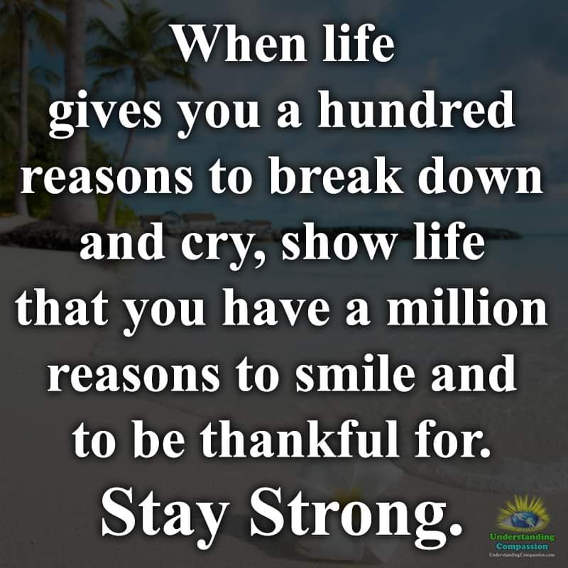 Julia Reason (@juliareason1) on Twitter photo 