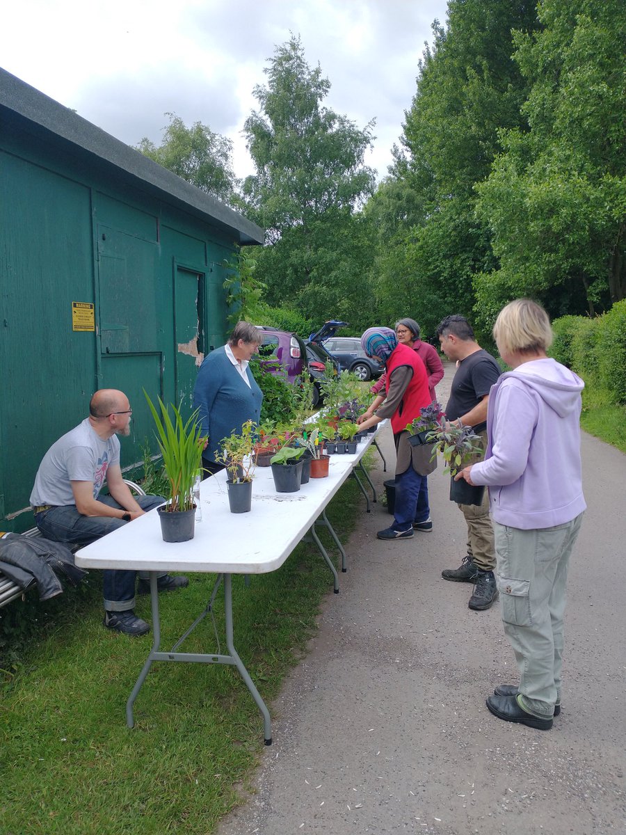 GuineaGardens's tweet photo. Plant Swap at the Guinea Gardens underway https://t.co/t7SaE7JmiY