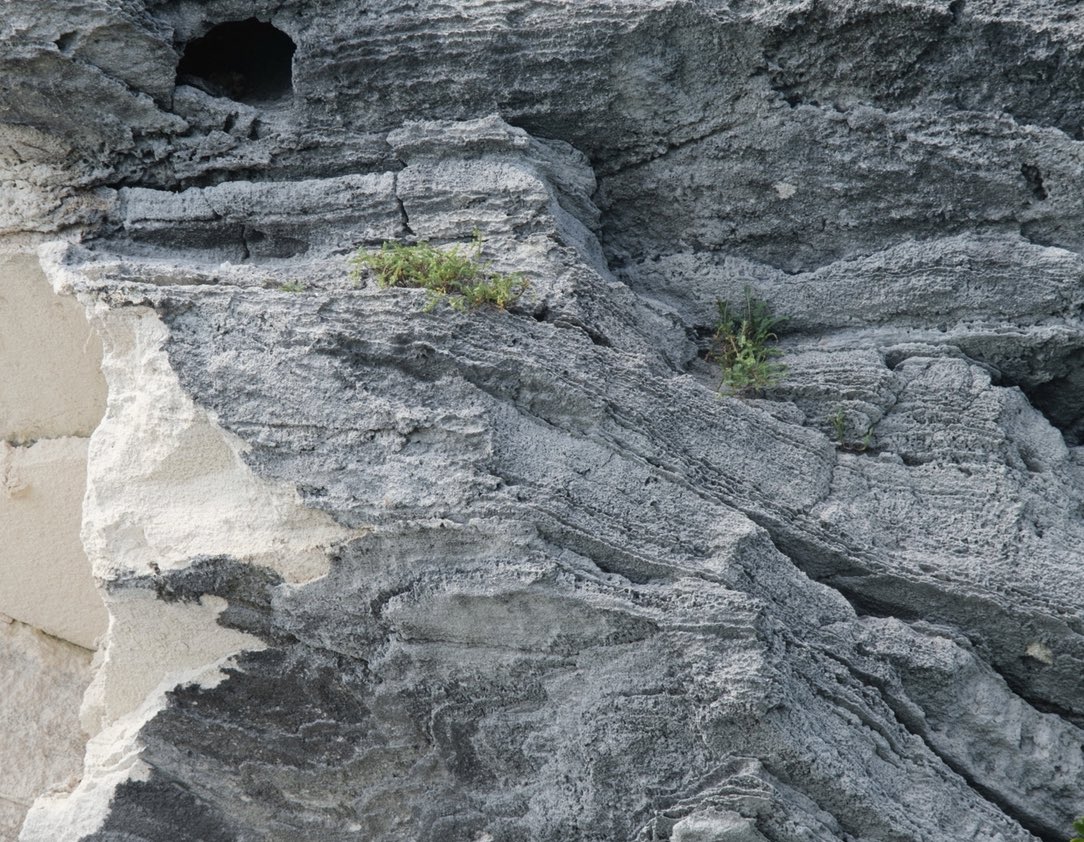 Forward Momentum, LLC tweet media