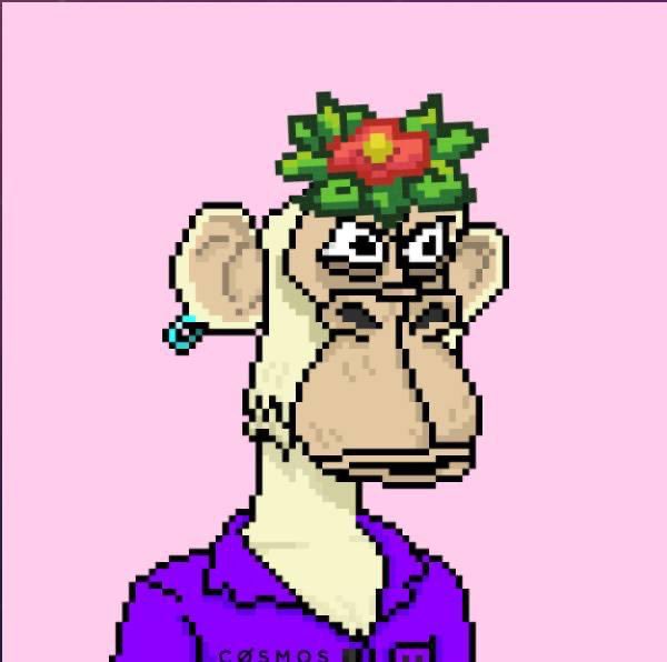 Spent some $EVMOS from my #rektdrop . My first mint outside Stargaze zone. Probably keeping these for now. <a href="/EvmOSPunks/">EvmOS Punks | MINTING ⚛️</a> <a href="/BoredOSApes/">Bored OS Apes ⚛️- Public Mint LIVE</a>