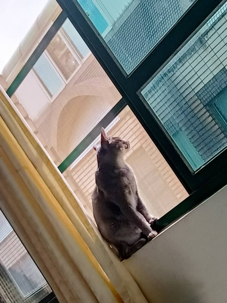 Kate Lin tweet media