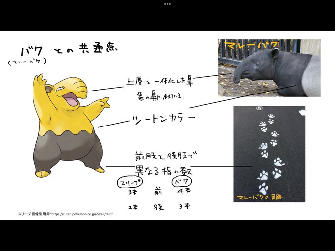 ポケモン週末レポート 6 スリープ リモートポケモン学会