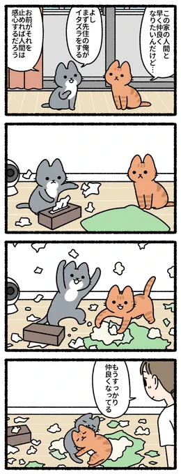 泣いた赤鬼な猫 #猫の昔話 