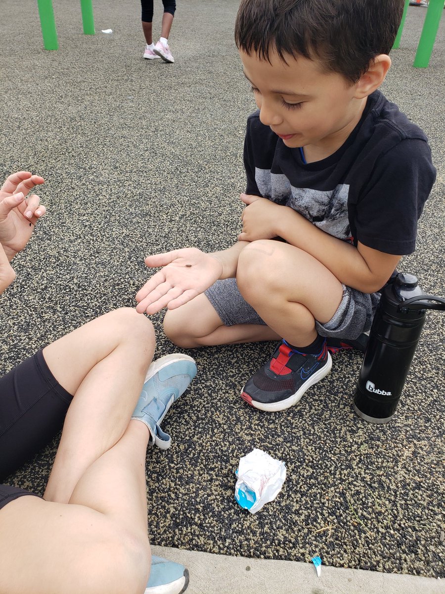 Ms. Obediah tweet media