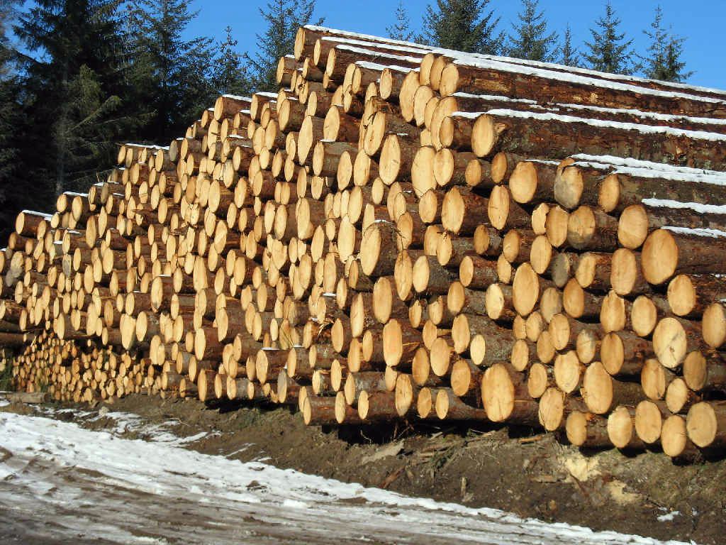 RyanInstitute's tweet photo. Timber is essential in the #construction industry. In this paper researchers from @RyanInstitute @nuigalway summarize the state of the art for strength grading of construction timber grown in the #UK and the Republic of #Ireland. https://t.co/IYZQ1UqJCE #TimberGrading #SDG https://t.co/3INZLyodW0