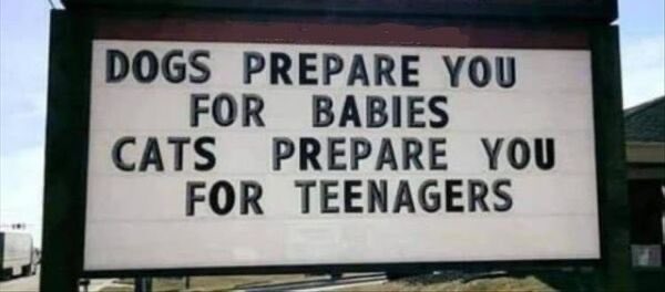 Greg McIntyre tweet media