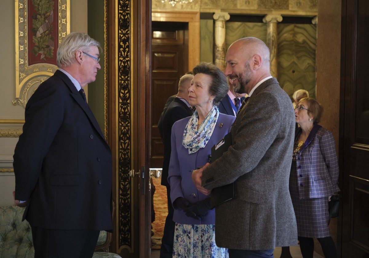 HDWOOL™ tweet media