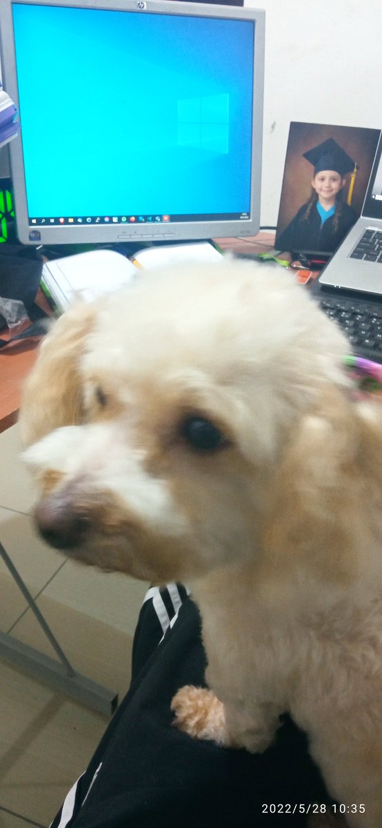 docampocr's tweet image. Ella quiere trabajar conmigo jajaja