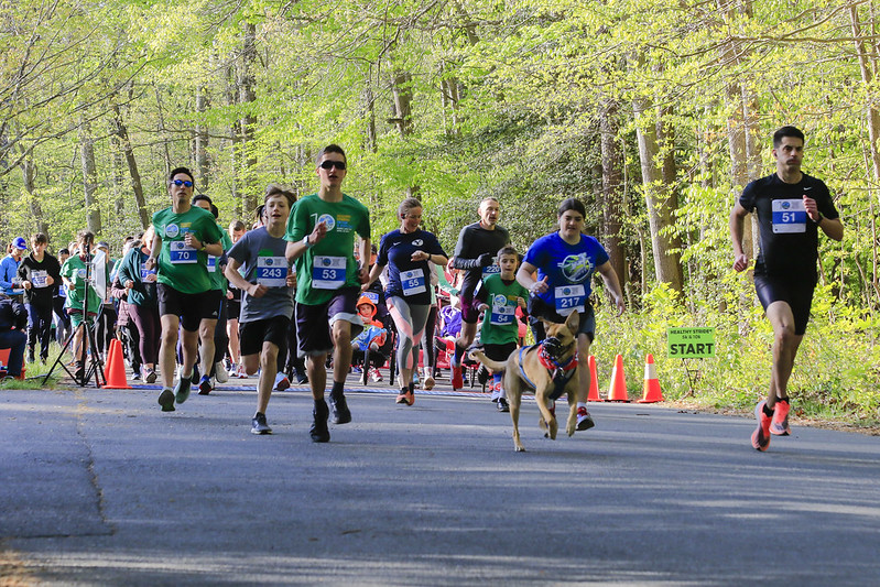 burke lake park fitness course