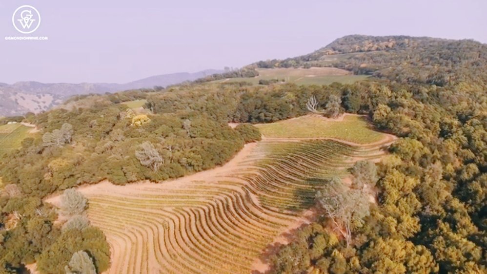 Gismondi on Wine tweet media