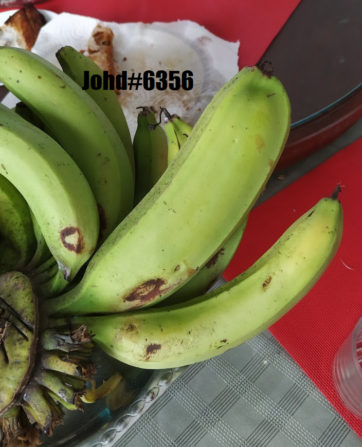 IsolatedEcho โ๐ด๐ tweet media