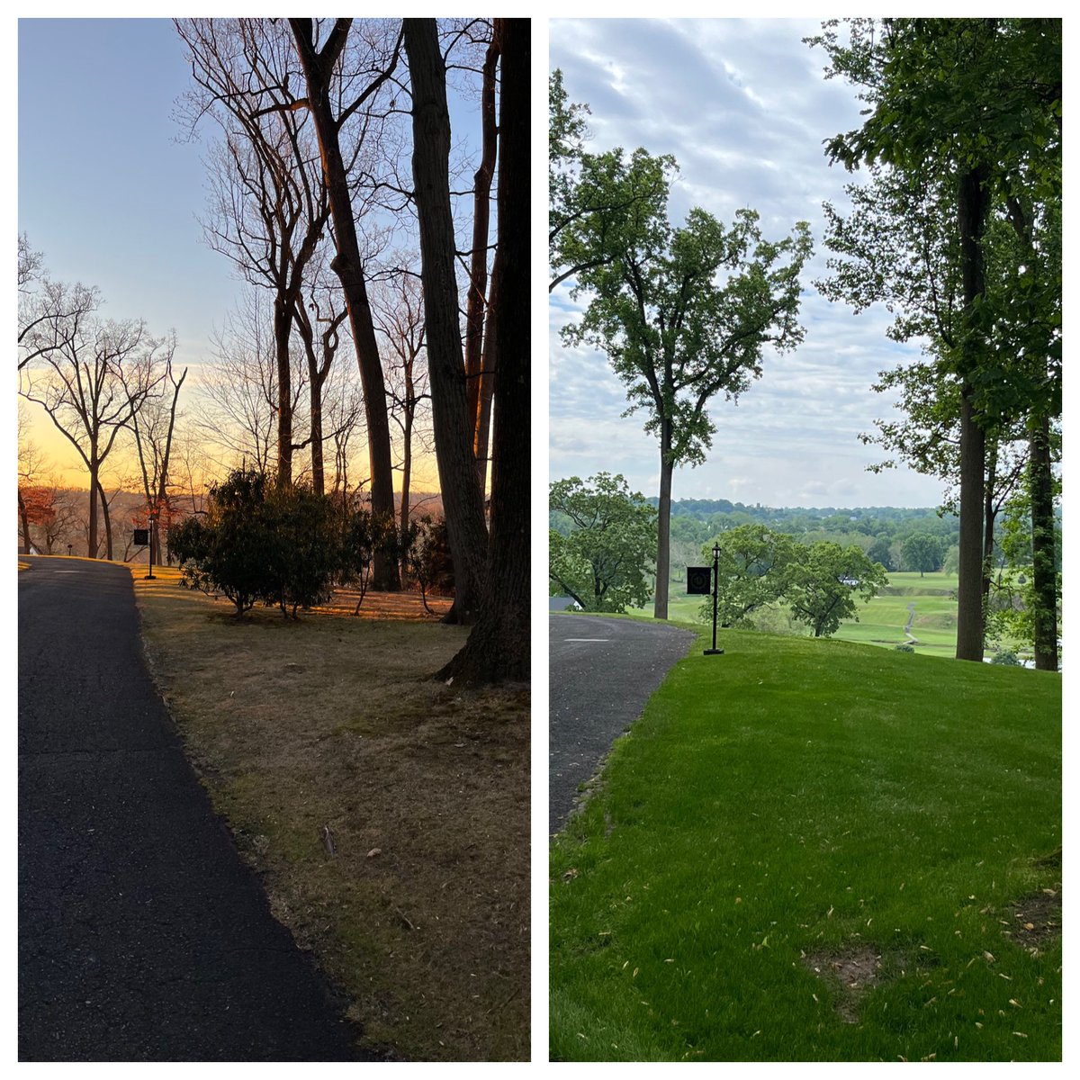 2021 vs 2022. Busy winter of tree work made a huge impact.