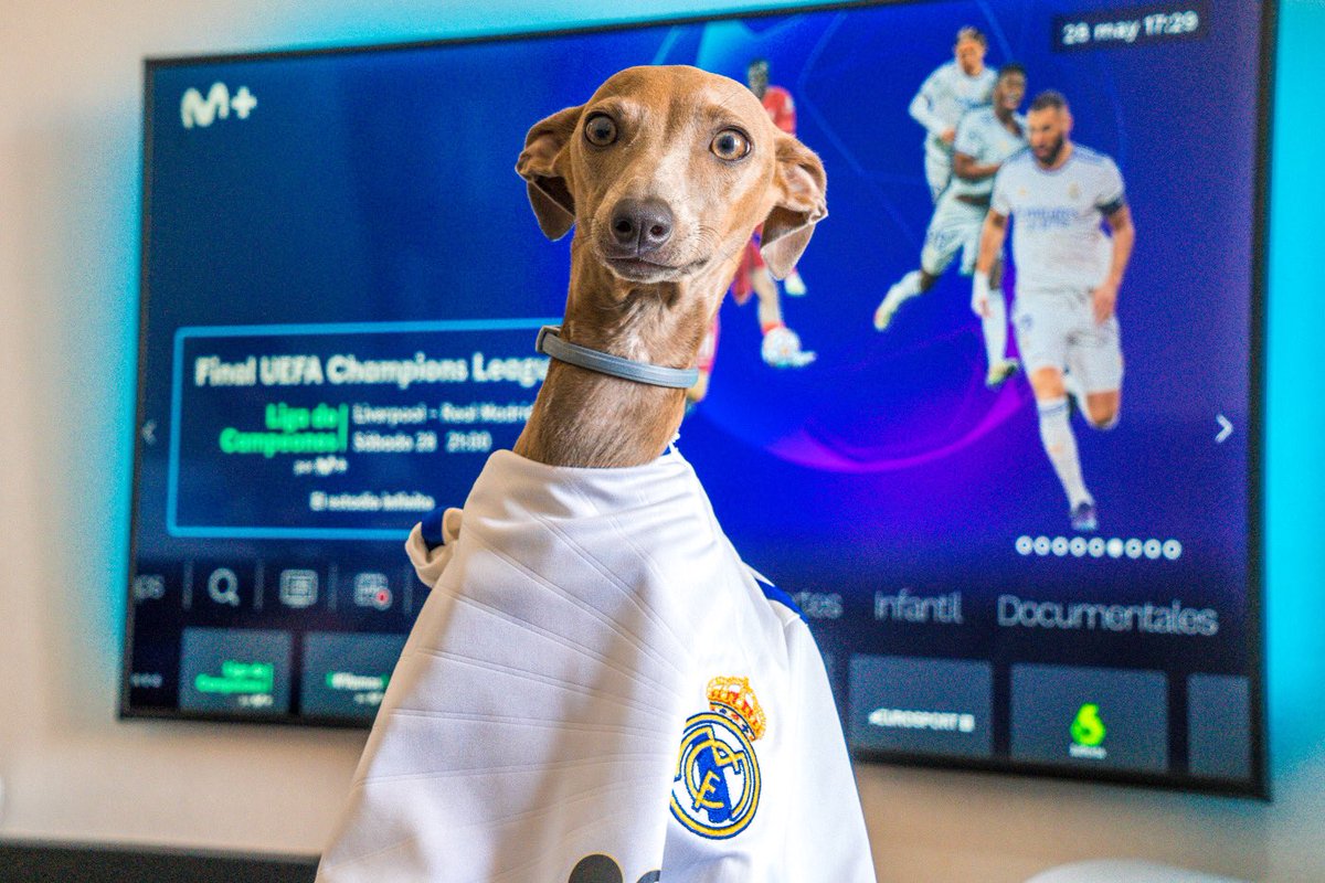 JaviHigh07's tweet image. Hasta el final, vamos Real!!

@realmadrid