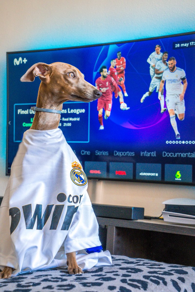 JaviHigh07's tweet image. Hasta el final, vamos Real!!

@realmadrid