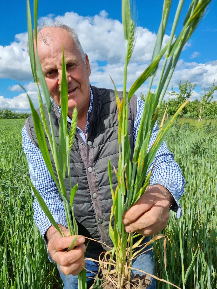 Comparing Conventional v Organic ! We need advice on planning organic rotations ?