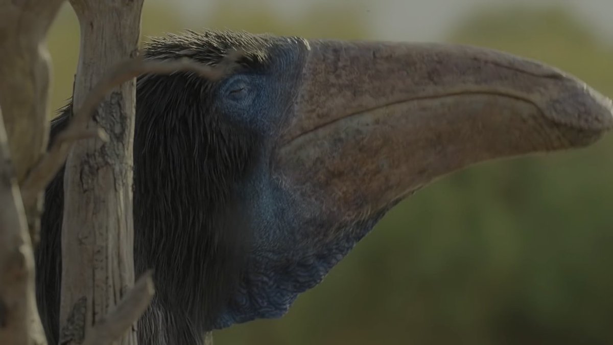 PeskyCarnotaur's tweet image. Man i can’t believe #PrehistoricPlanet is over already. we need season 2 pronto bc got damm this was the most aesthetically pleasing dino doc I’ve ever watched. There wasn’t a single animal design that I didn’t love.