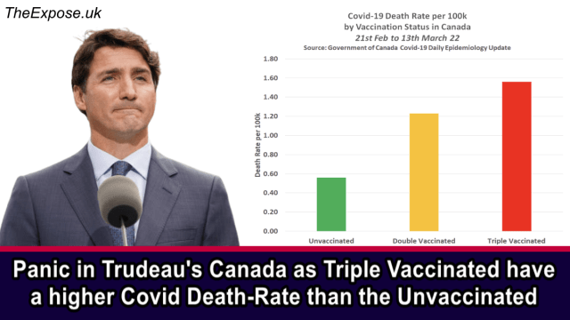 Beneri11's tweet photo. @prettypatriotCA #ExposeTrudeau https://t.co/ULtAuid3IW