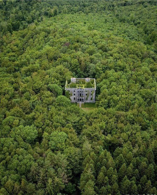 An Abandoned mansion in the Irish forests.