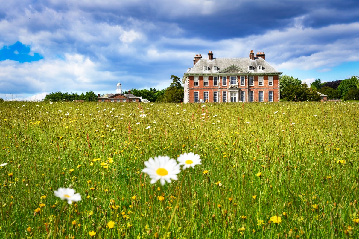 SudAngleterre's tweet photo. Belle après-midi passée à #Uppark dans les South Downs. L'équipe bénévole du #NationalTrust nous a gentiment renseignés sur les anecdotes intéressantes à découvrir dans le manoir.
.
.
.
#TheGreatSussexWay #experiencewestsussex #destinationangleterre #visitsoutheastengland https://t.co/gEnpTcz1YT