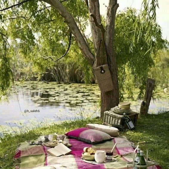 Mh200922's tweet photo. ليست المودة والأخوة بقرب الأجساد
 لكنها بقرب القلوب وتشابه الأرواح 

ما أروع أن تكون مصدر ثقة وإرتياح
 لأناس عرفوك فقط من خلال كلماتك 💐
#الله_غايتي_ورسول_الله_قدوتي 
#حفيدات_الفاروق
#غرد_بالمفيد_دين_ودنيا 
#غيوم_صامته https://t.co/JOD4K93uHQ