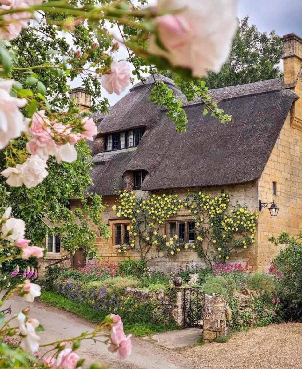 piinkibun's tweet photo. cottages ♡ https://t.co/4HPLBHFWuh