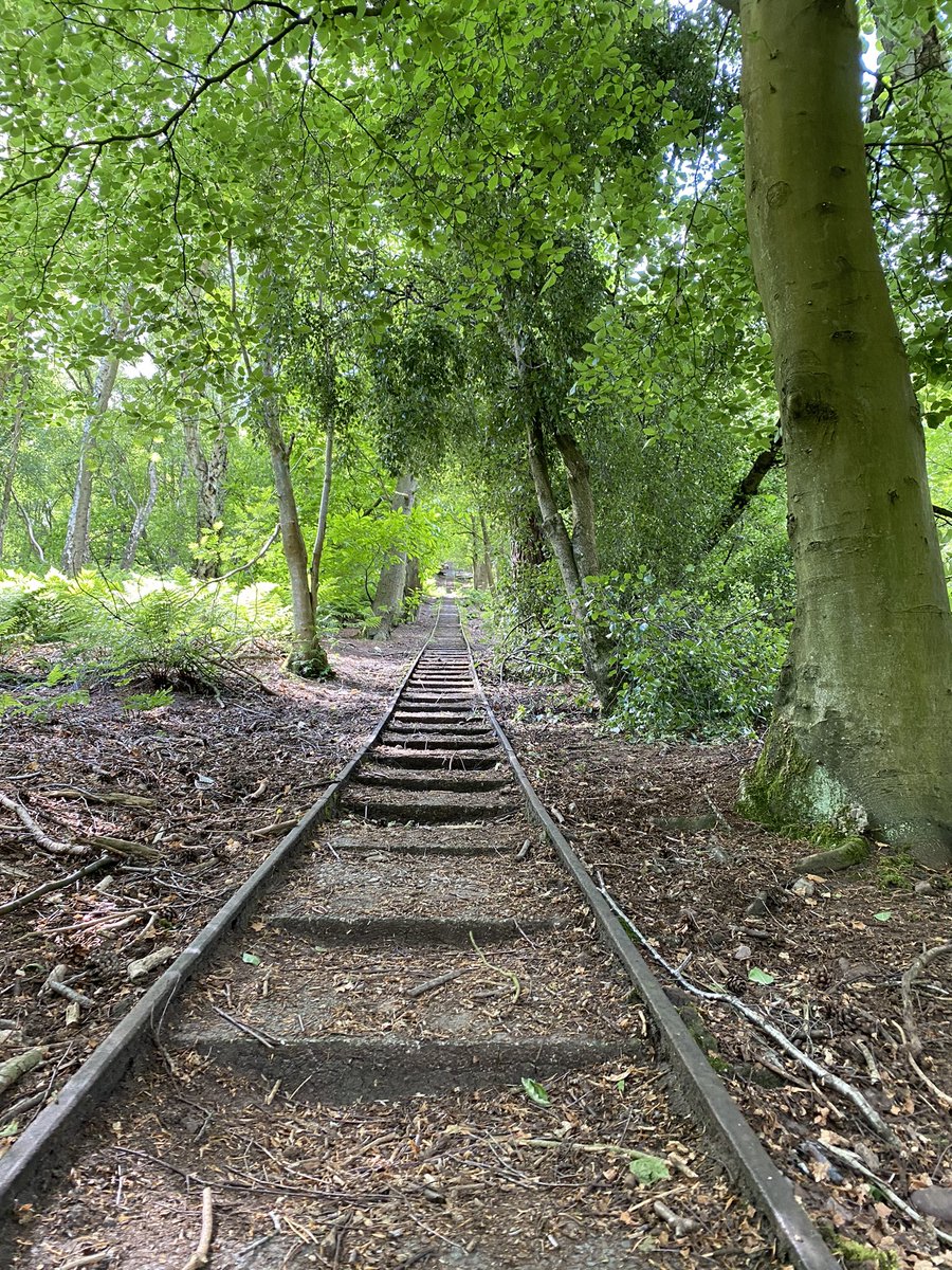 Hill training on tired legs today! 

That’s was graft! Absolutely blowing by the end of it!

#hilltraining #running #run #ultratraining #runchat #ukrunchat