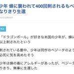 ドラゴンボールが一人の少年の命を救った!？蜂に400回刺されるも『ベジータ』になりきり生還!