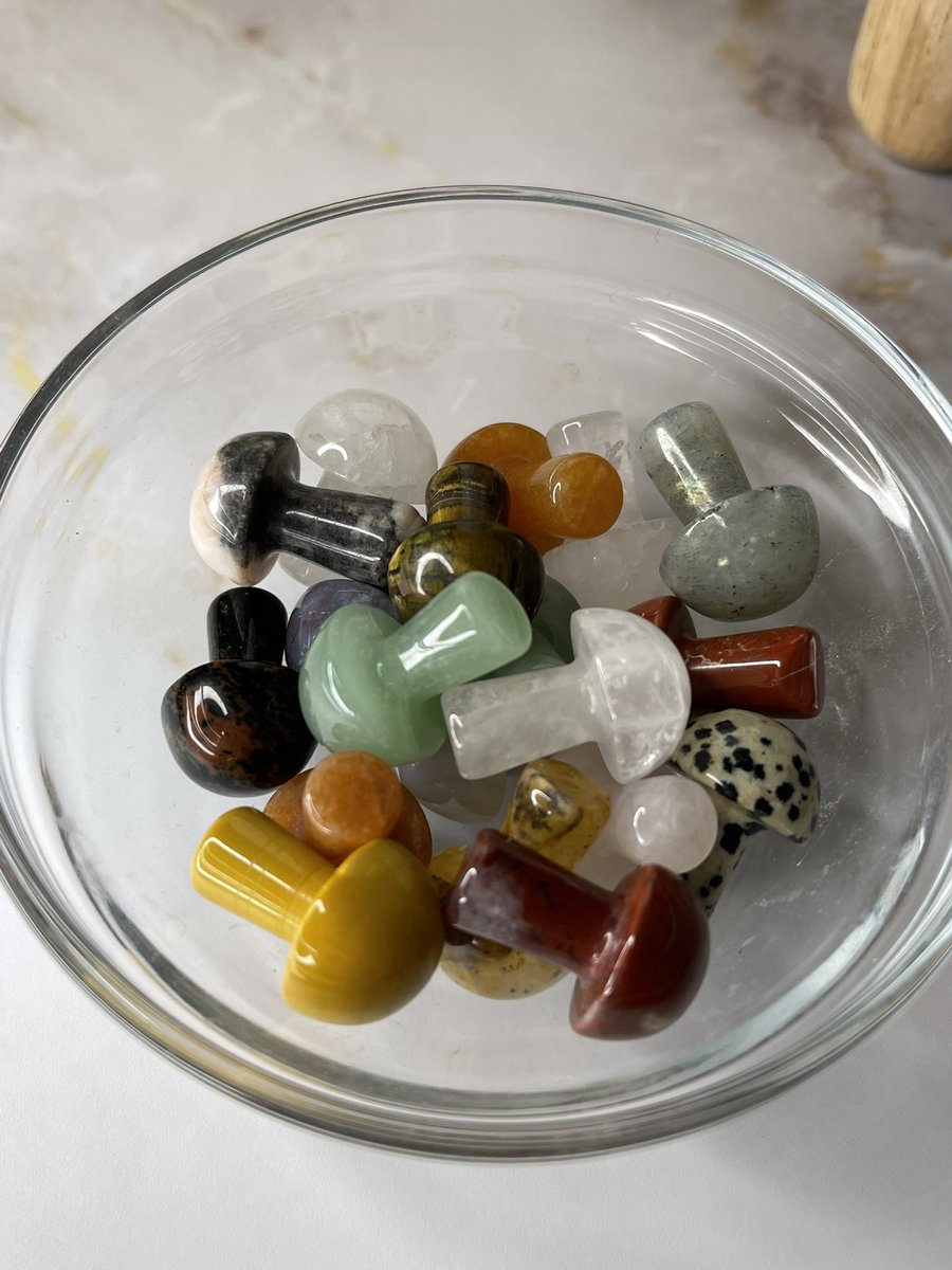 mystery mini mushrooms! use code CLEAROUT15 at checkout for 15% off your order total 
ship with the link below 

etsy.me/3rJr3UZ