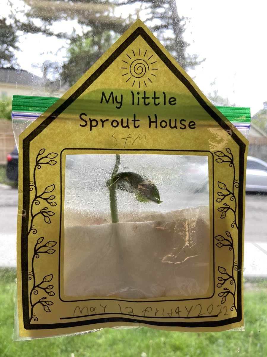 ms_stevenskr's tweet image. Plants, plants and more plants 🪴 The Ss are so excited to see the growth of their plants, as I sit back and reflect on all their personal gains this past year.