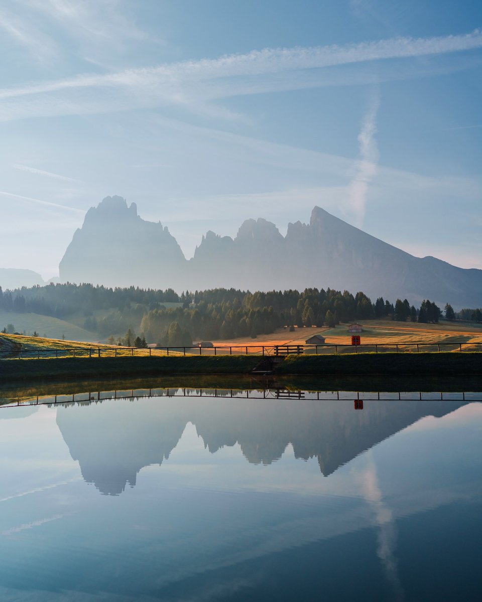 GM ☕️ NFT Artists and Collectors 🎨