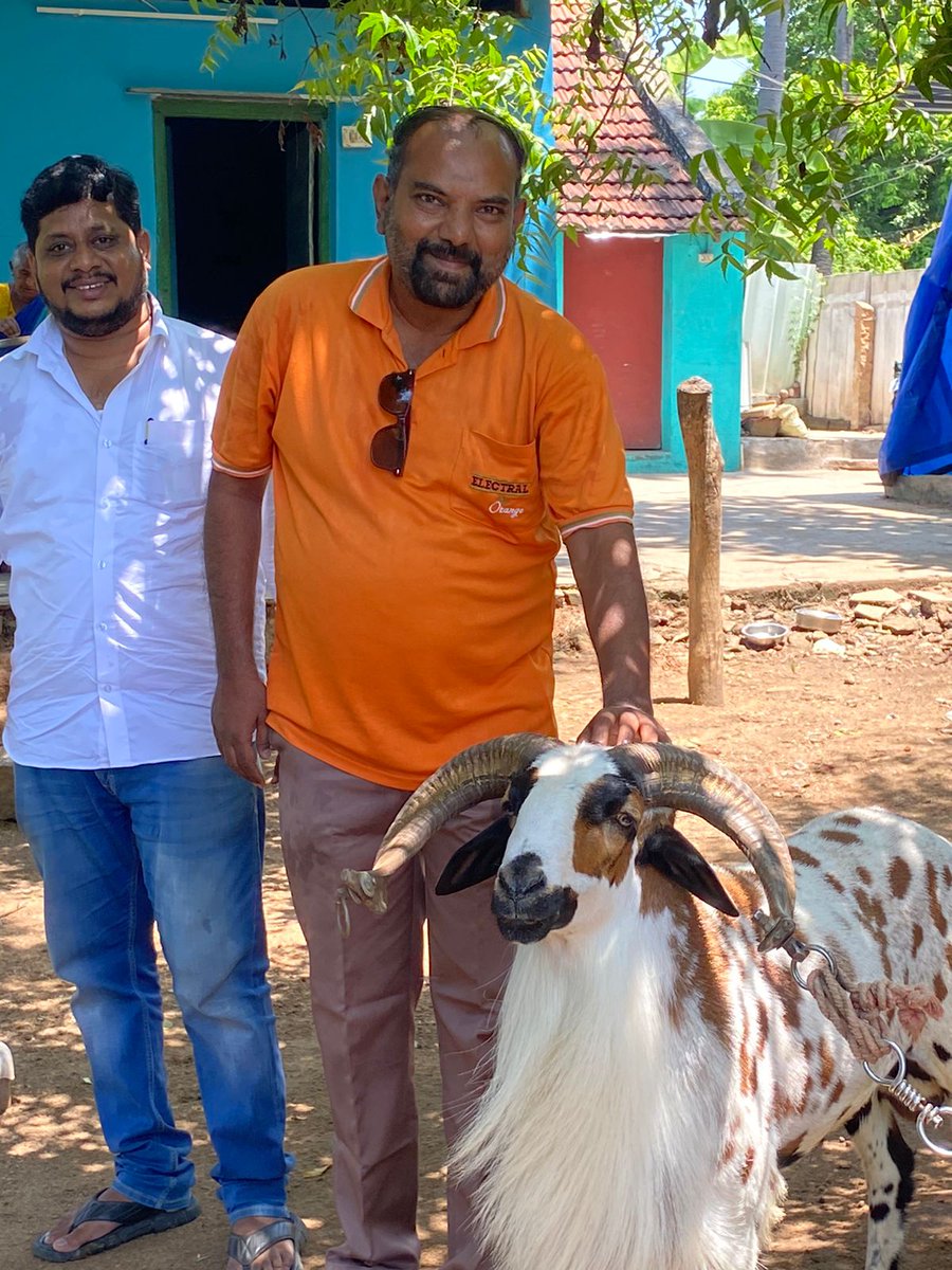 swamina22580285's tweet photo. Alanganallur Jallikattu la Adangatha Kaalai and Aadu udan... https://t.co/TAE6ZKOkq5
