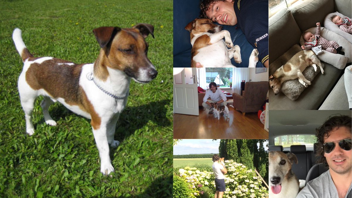 Stefan Hoek tweet media