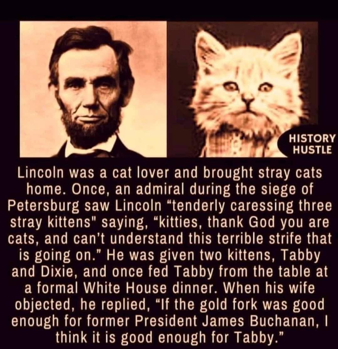 #Caturday Facts: even one of our greatest presidents was a cat lover. Maybe that’s what made him so great! 🐈🐈‍⬛🐾🥰 #Caturday #kitty #pets #feline #CatsOfTwitter #AdoptDontShop #cats #CatsLover