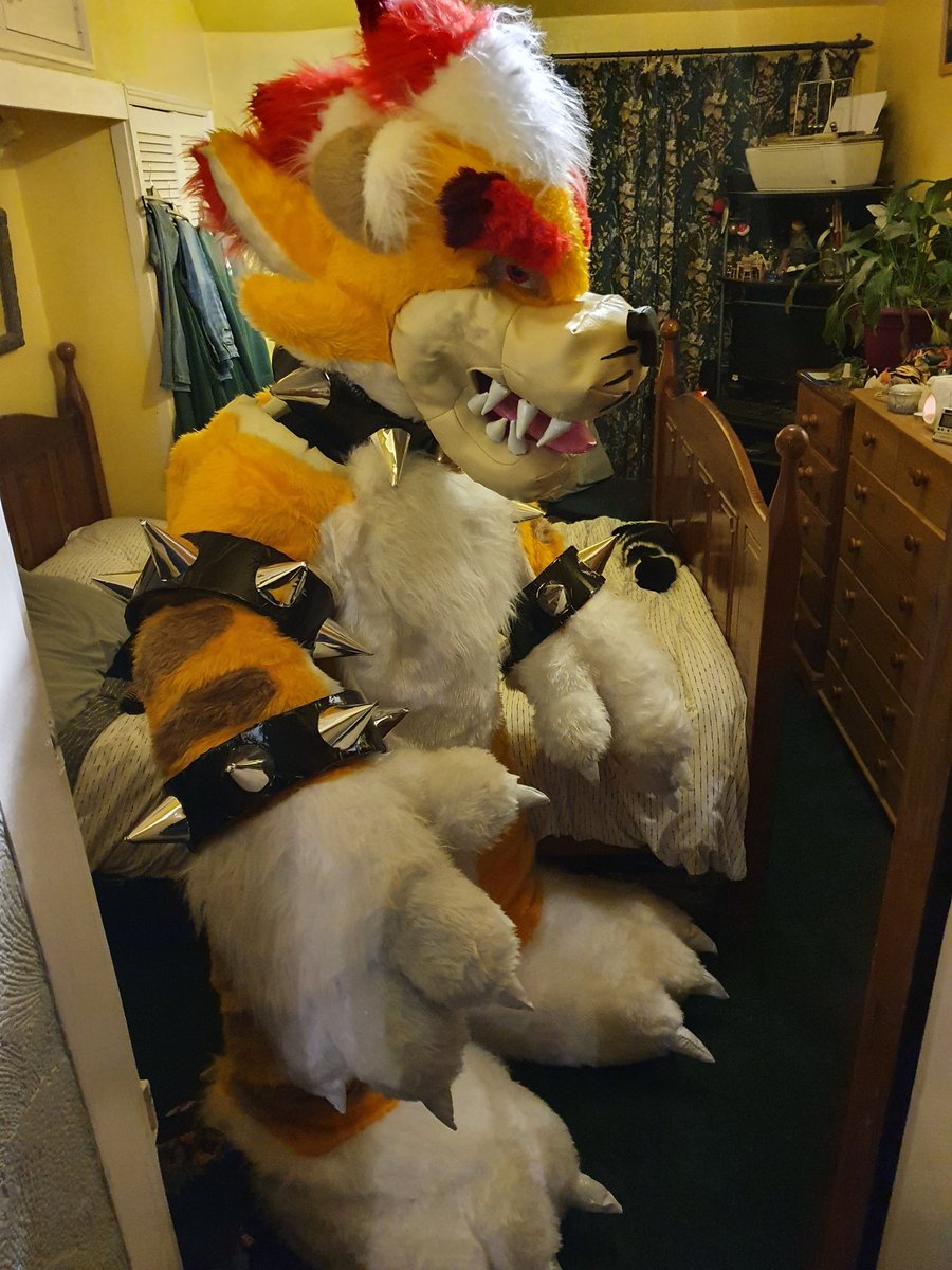 OmegaXaiden27's tweet photo. Meowser nearly done just need to add the tail and shell and sew the legs together.
#Nintendo
#supermario
#mario
#bowser
#cosplay
#costume https://t.co/2AZ1G92OJk